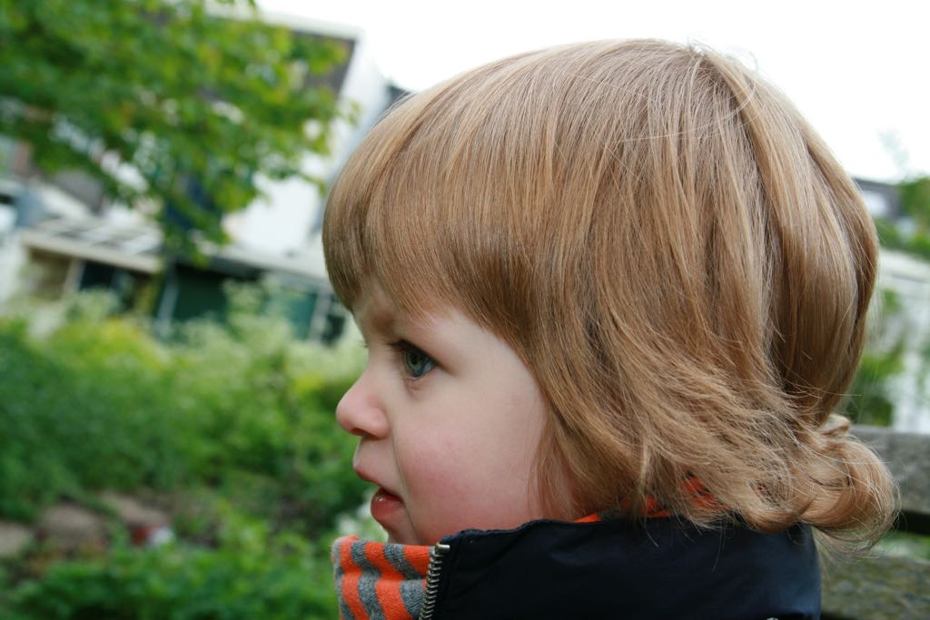 EOS IMG_20100510_1992