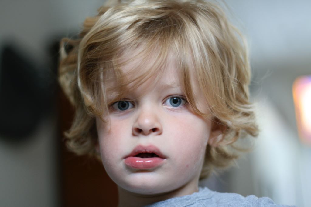 EOS IMG_20100729_2276