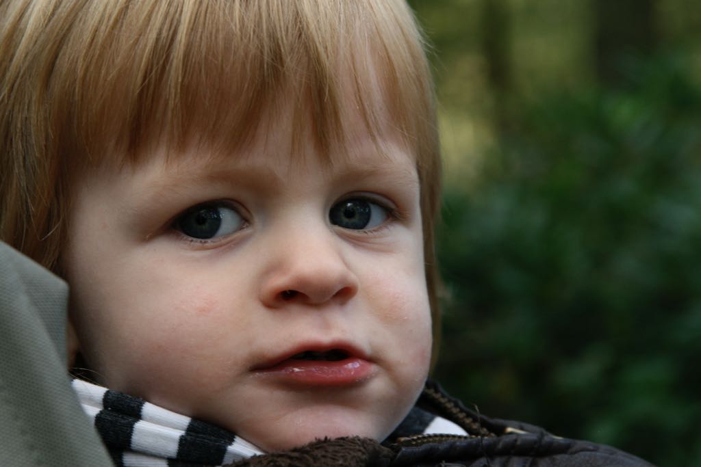 EOS IMG_20101017_2383