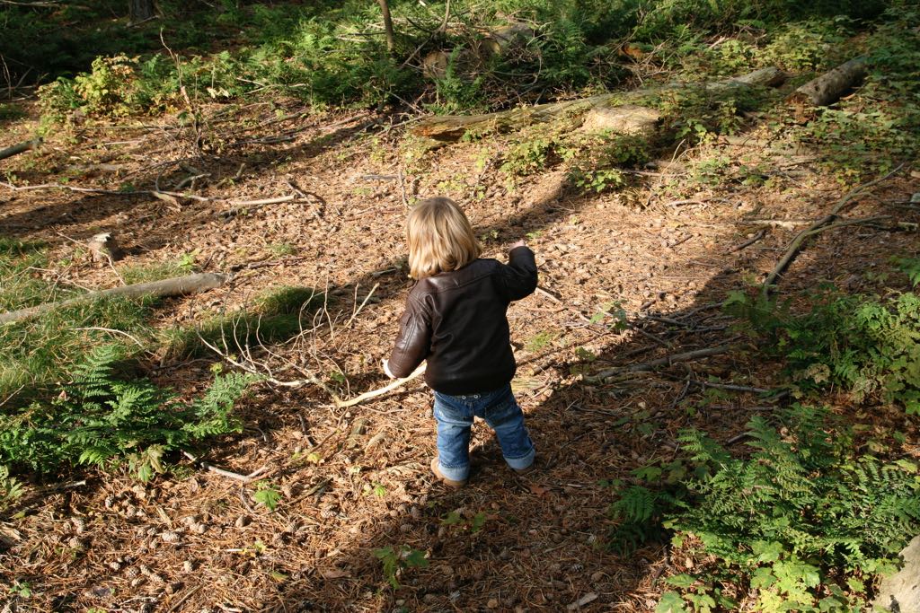 EOS IMG_20101017_2422
