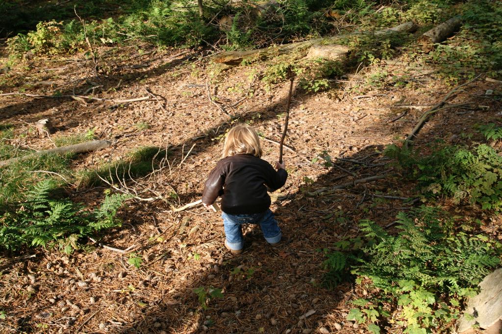 EOS IMG_20101017_2423