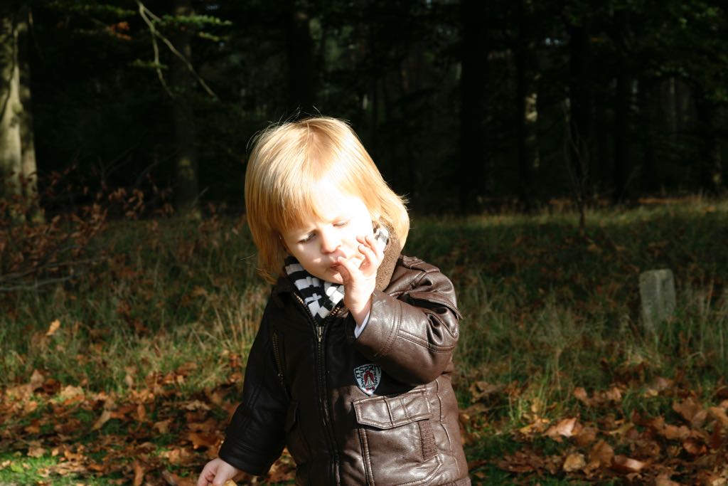 EOS IMG_20101017_2427