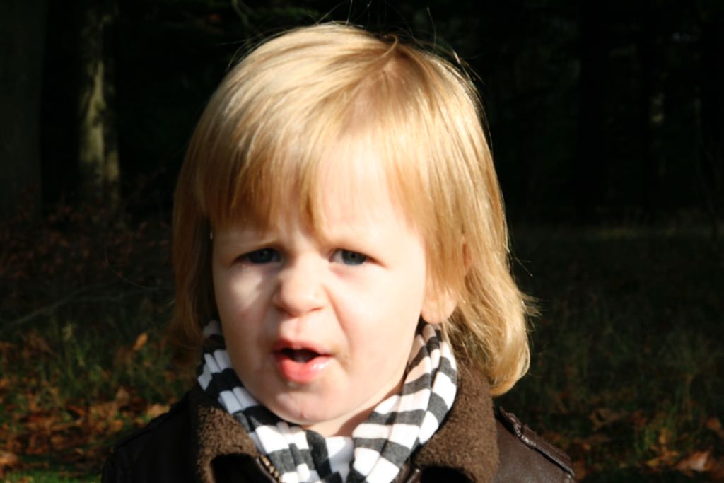 EOS IMG_20101017_2429