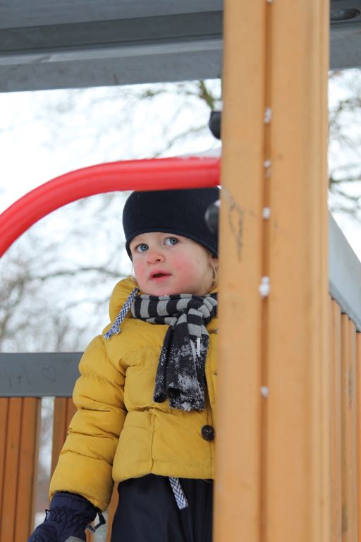 EOS60D IMG_20101202_0683