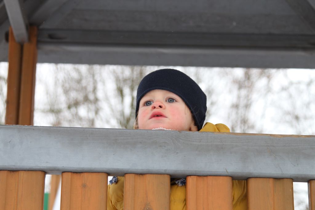 EOS60D IMG_20101202_0684