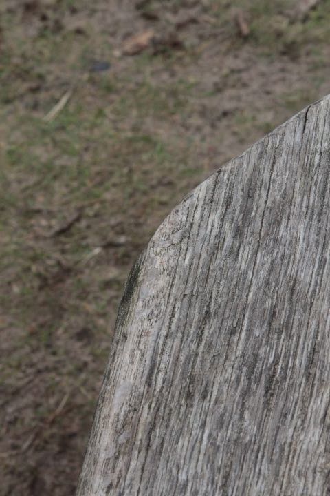 EOS60D IMG_20110213_1493