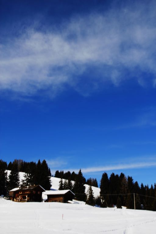 EOS60D IMG_20110218_1643