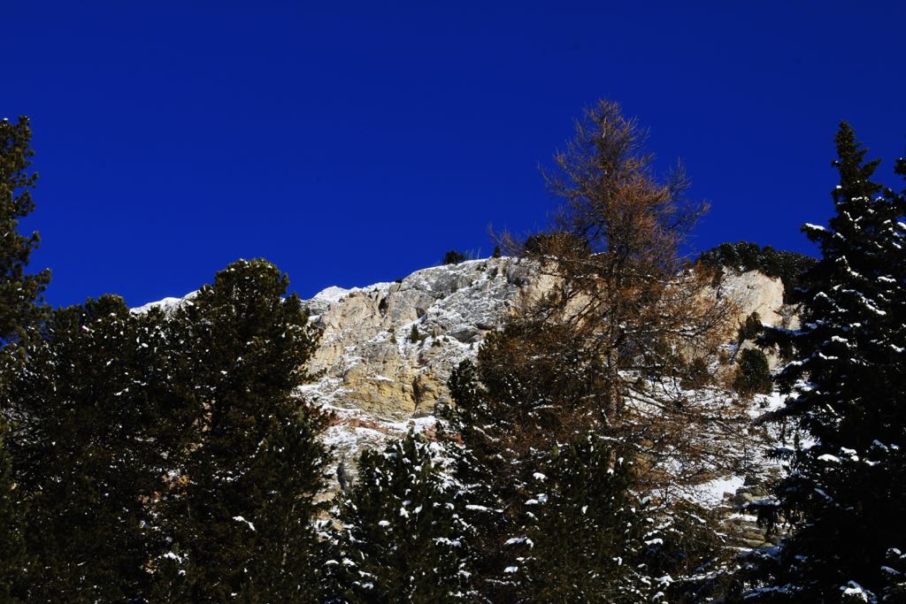 EOS60D IMG_20110219_1729