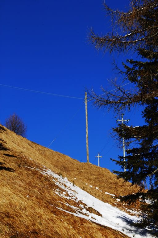 EOS60D IMG_20110219_1733