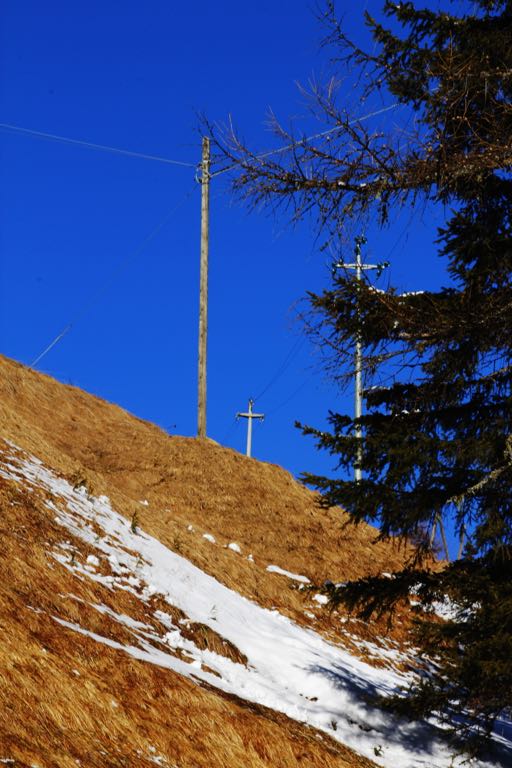 EOS60D IMG_20110219_1736
