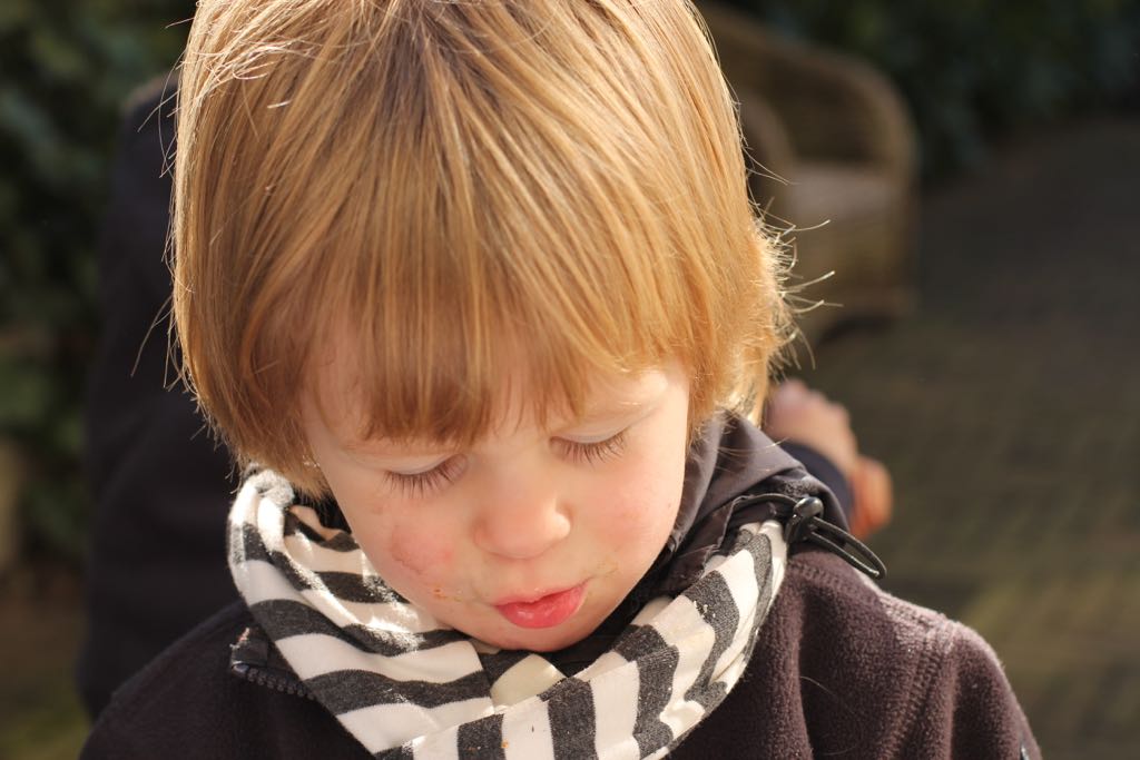 EOS60D IMG_20110319_1993