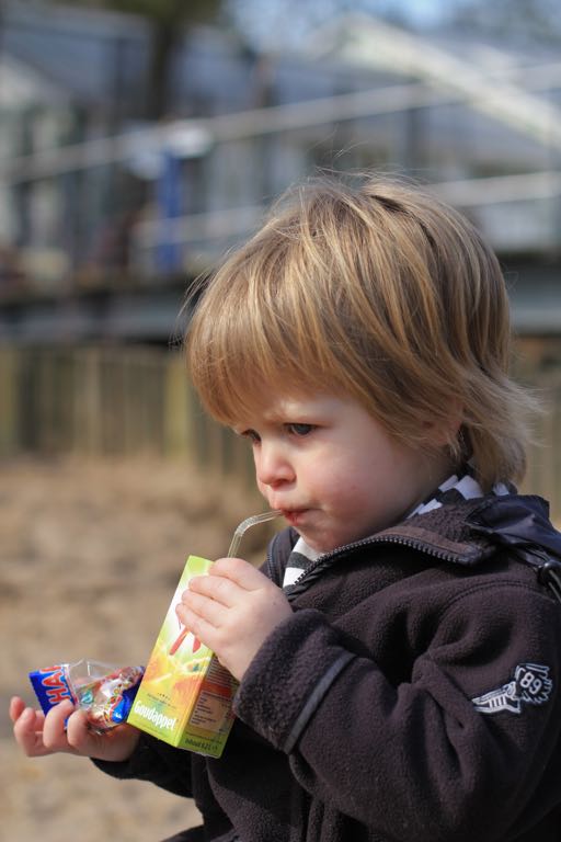 EOS60D IMG_20110320_2130