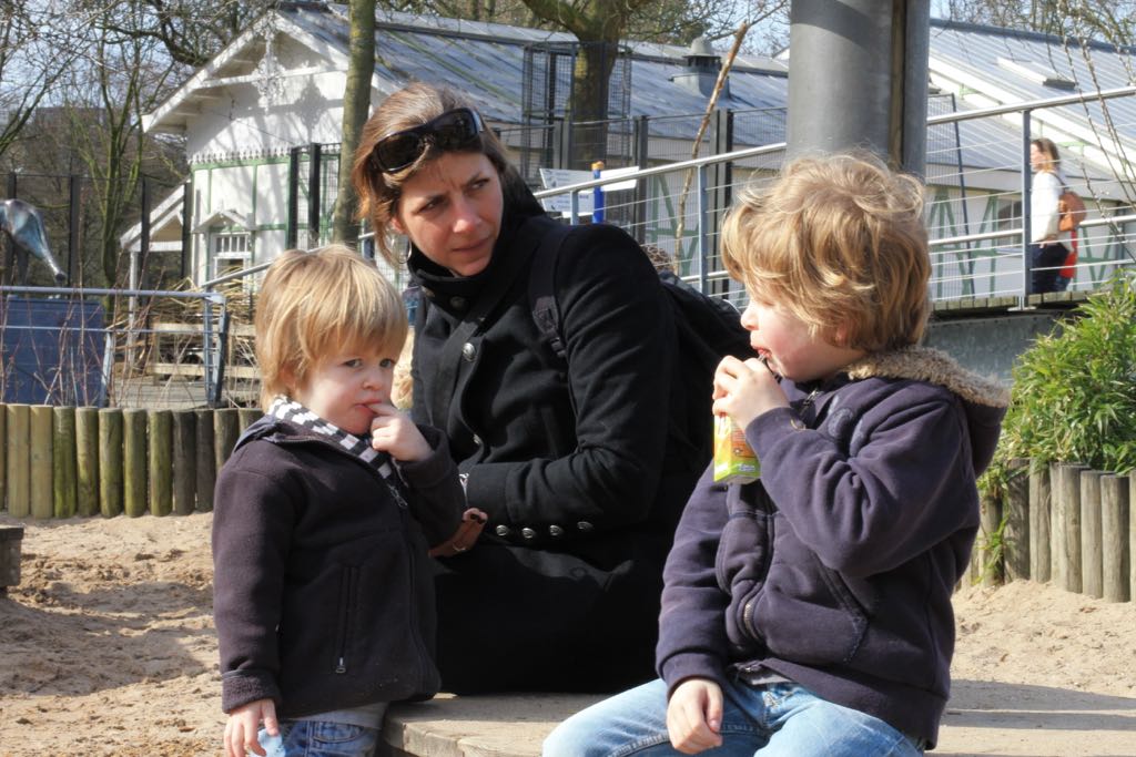 EOS60D IMG_20110320_2134