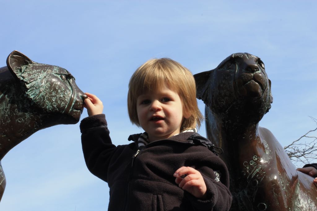 EOS60D IMG_20110320_2178