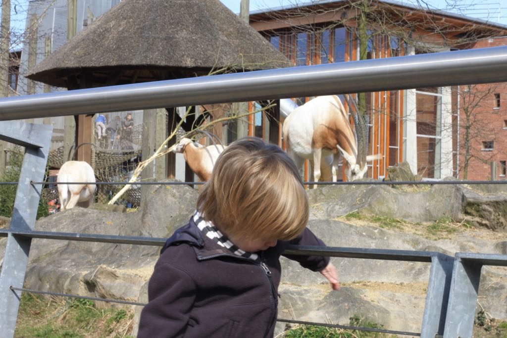 EOS60D IMG_20110320_2186