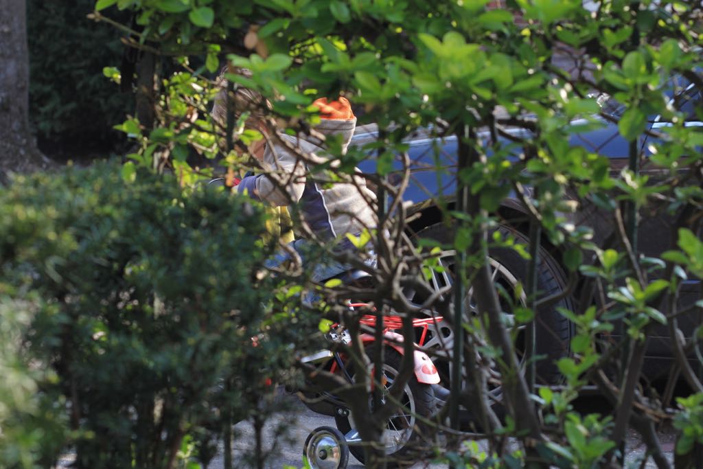 EOS60D IMG_20110417_2558