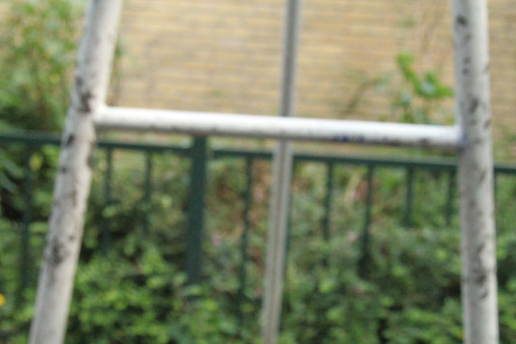 EOS60D IMG_20110426_3018