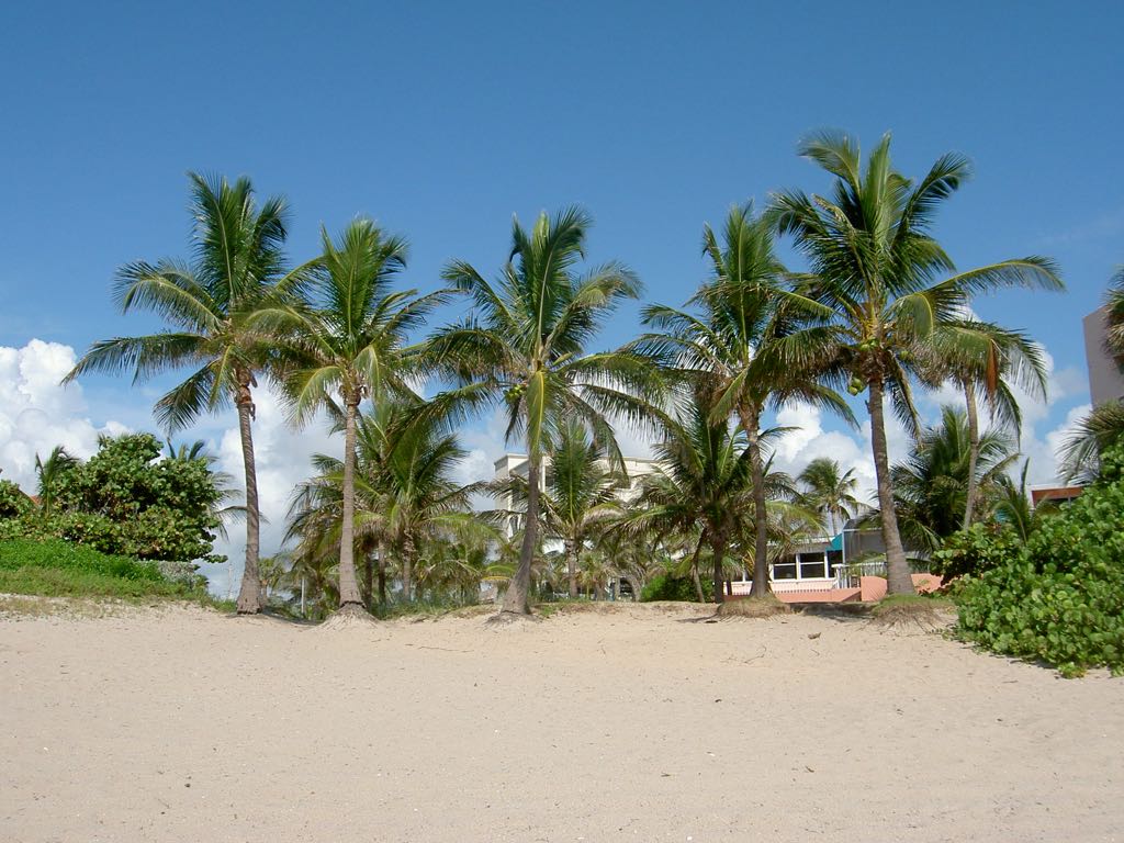 PICT0701
