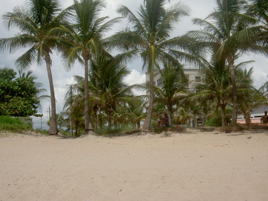 PICT0704