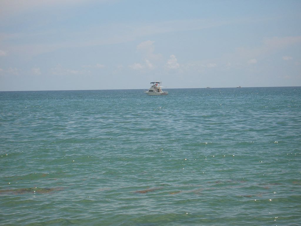 PICT0707