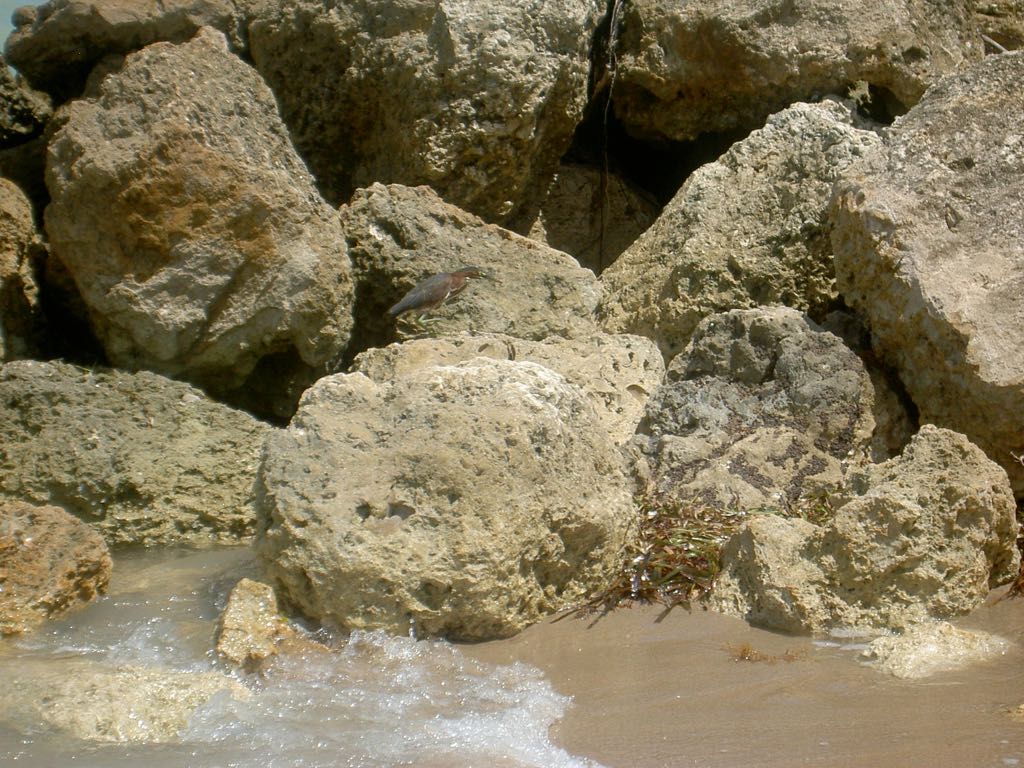 PICT0757