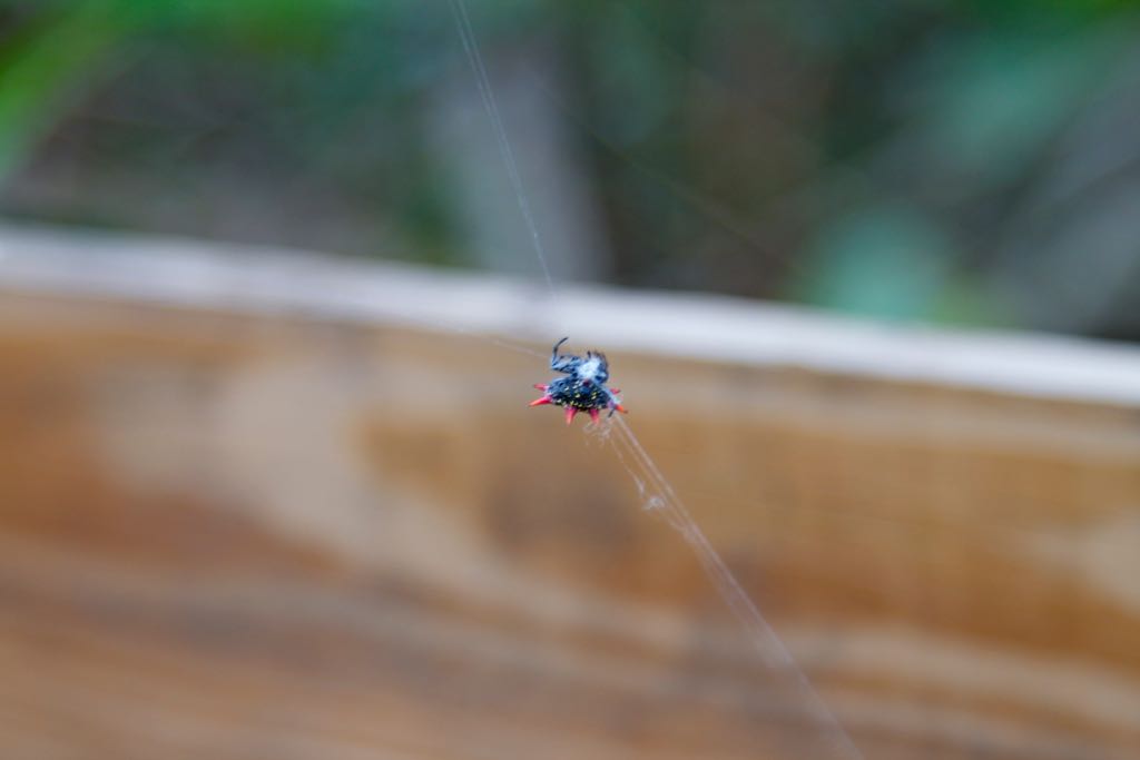 EOS 60D_2012_02_12_3280