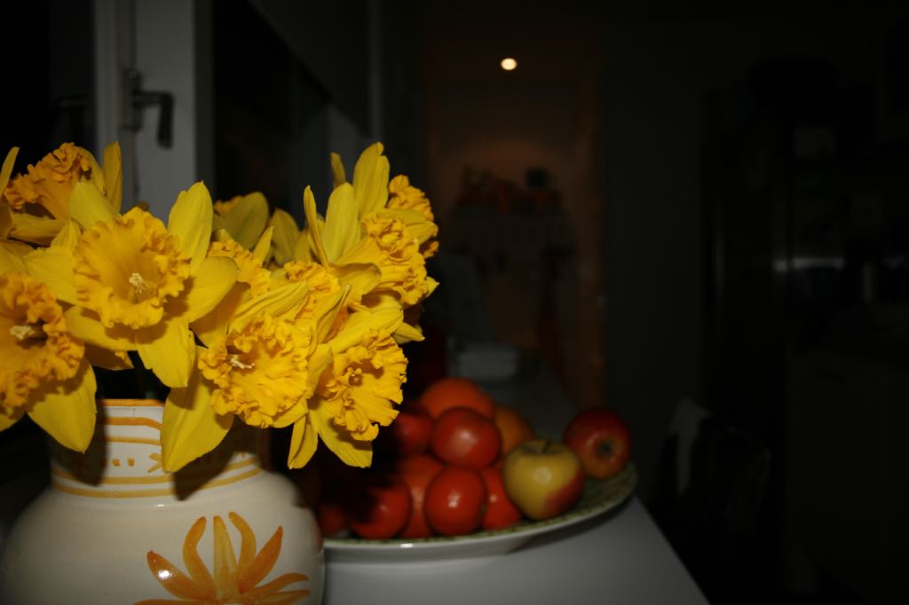 EOS IMG_0176