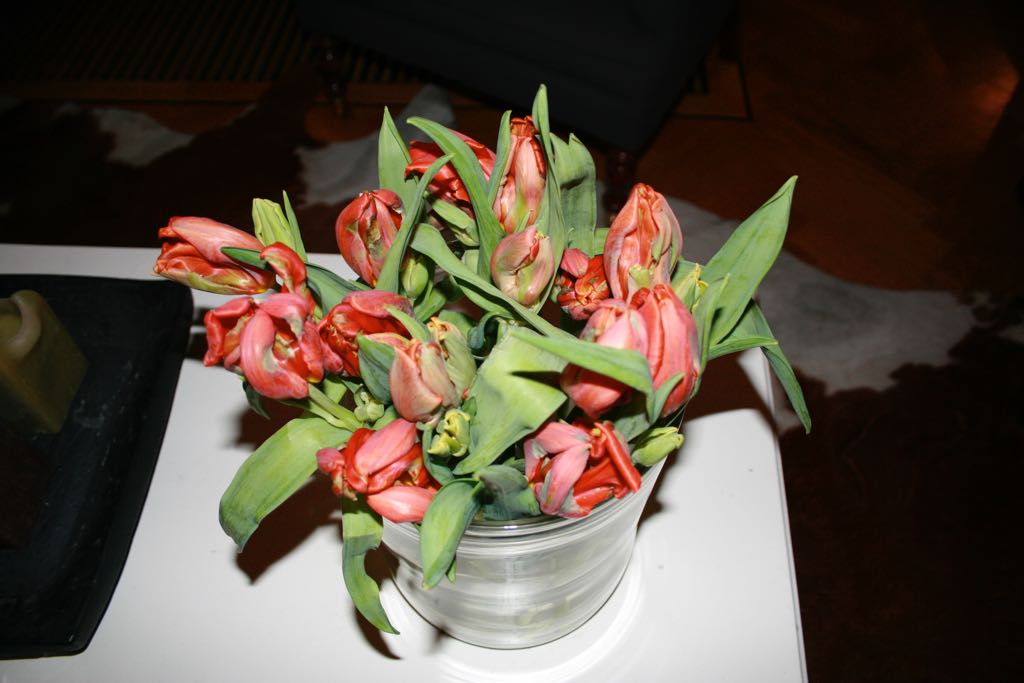 EOS IMG_0160