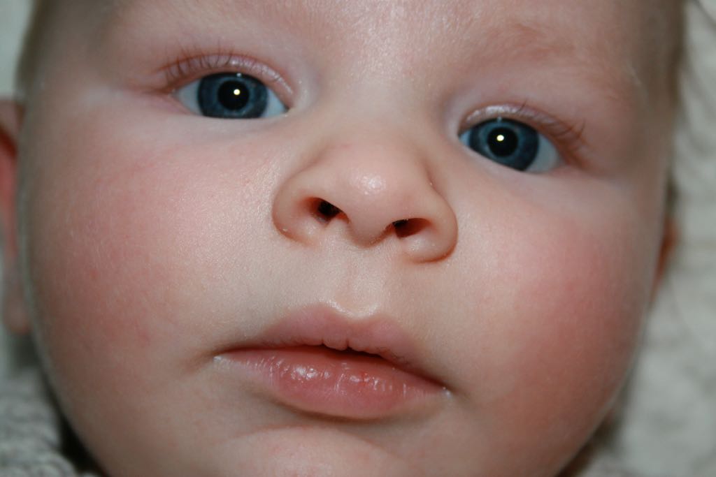 EOS IMG_0334