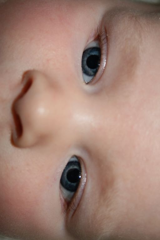 EOS IMG_0348