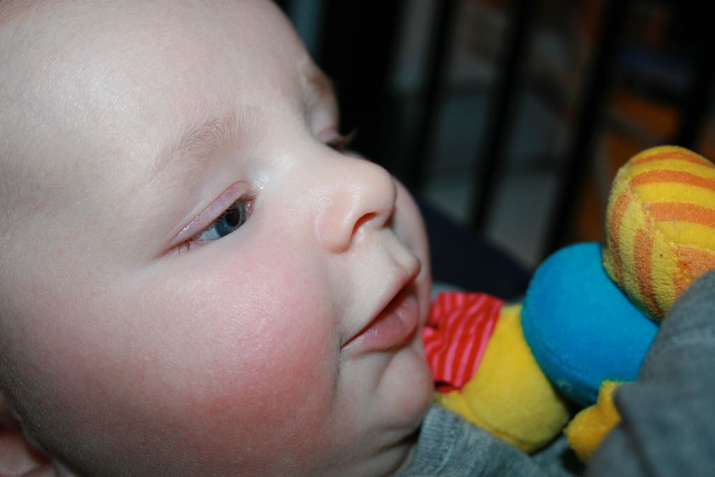 EOS IMG_0382