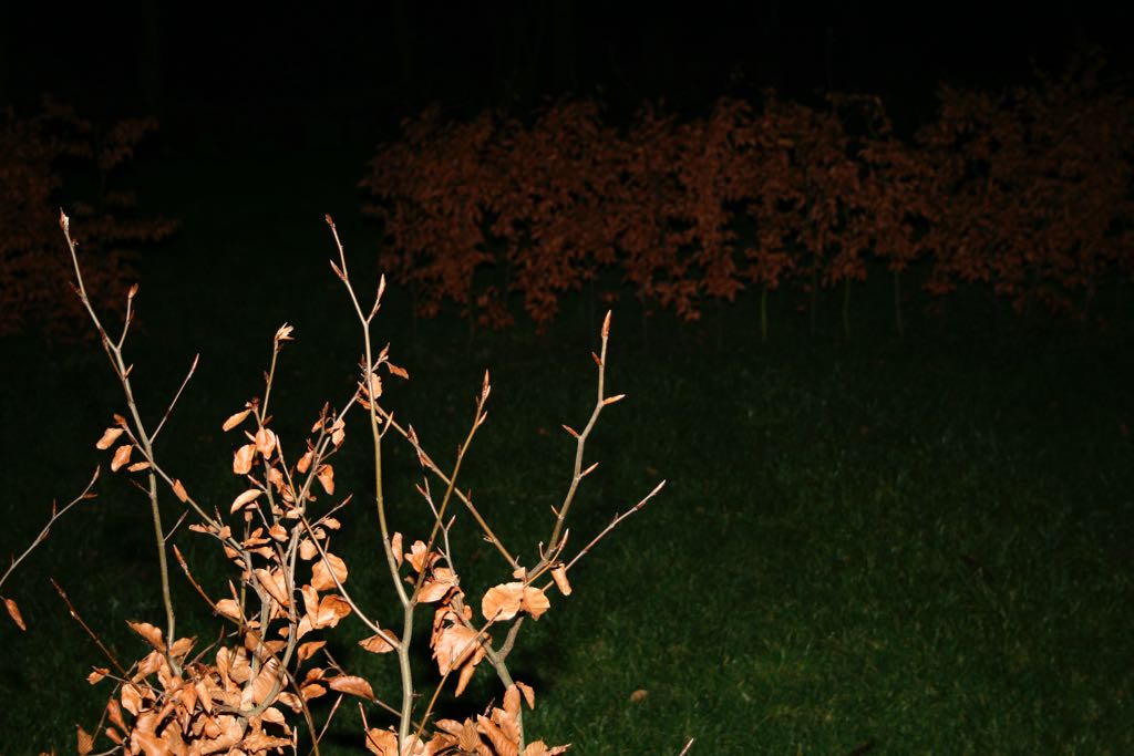 EOS IMG_0441