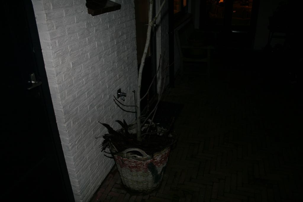 EOS IMG_0444