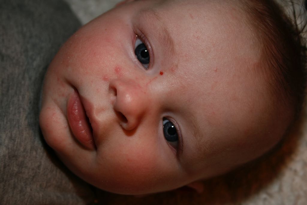 EOS IMG_0446