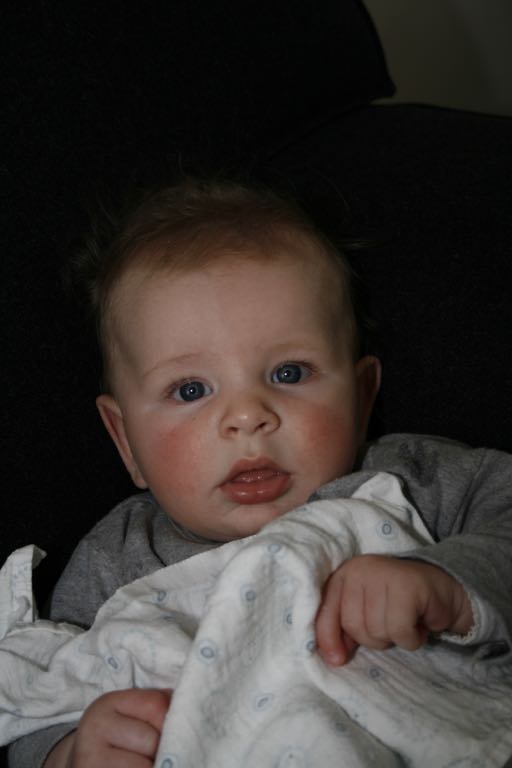 EOS IMG_0237