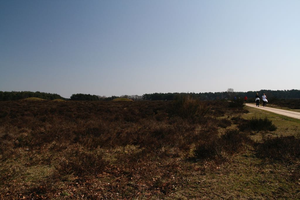 EOS IMG_0476