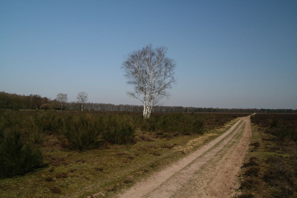 EOS IMG_0483