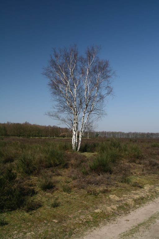EOS IMG_0484