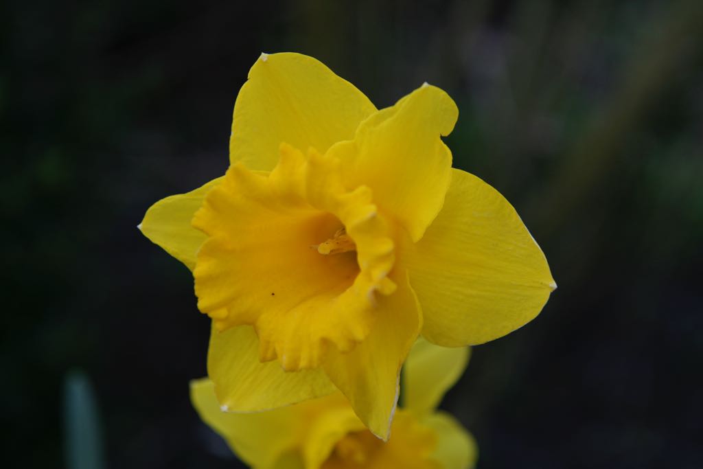 EOS IMG_0546