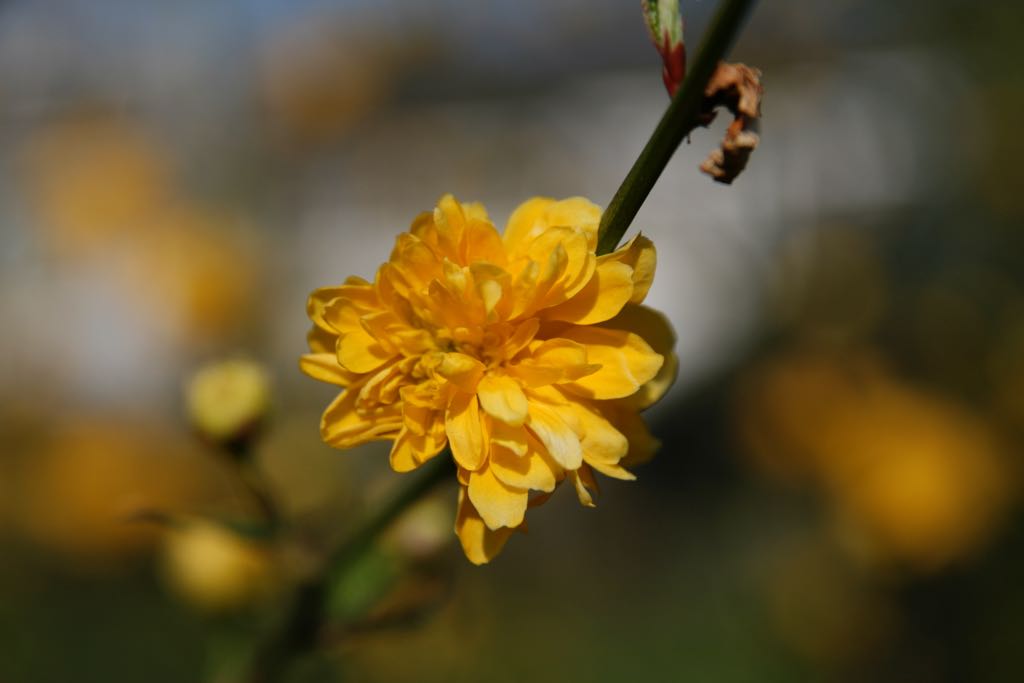 EOS IMG_0550