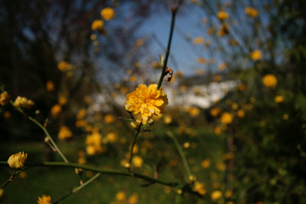 EOS IMG_0559