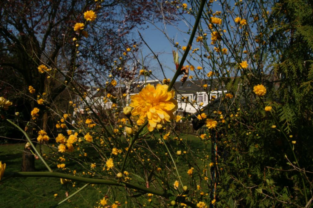 EOS IMG_0563