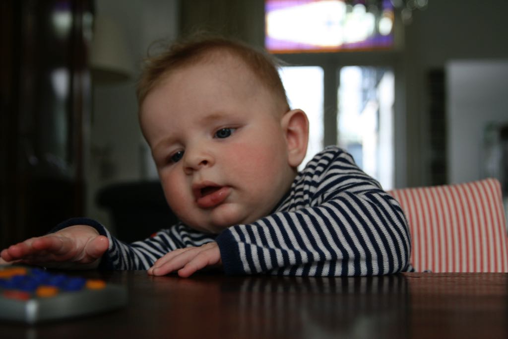 EOS IMG_0621