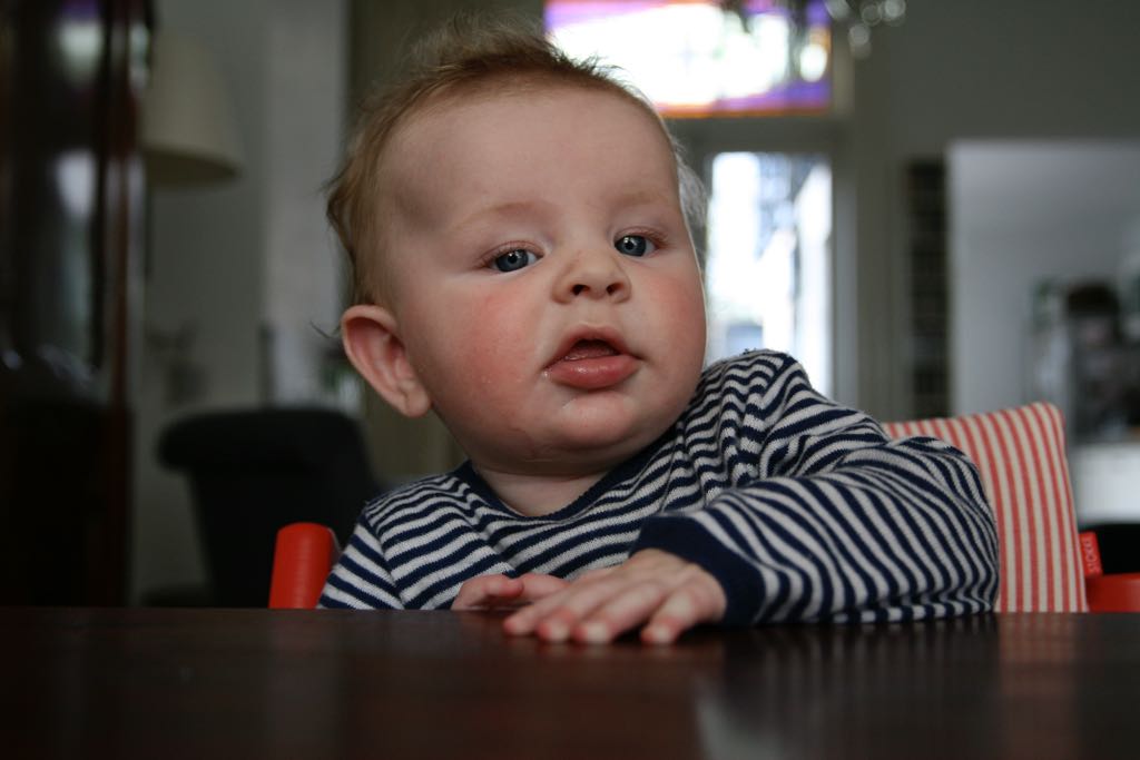 EOS IMG_0625