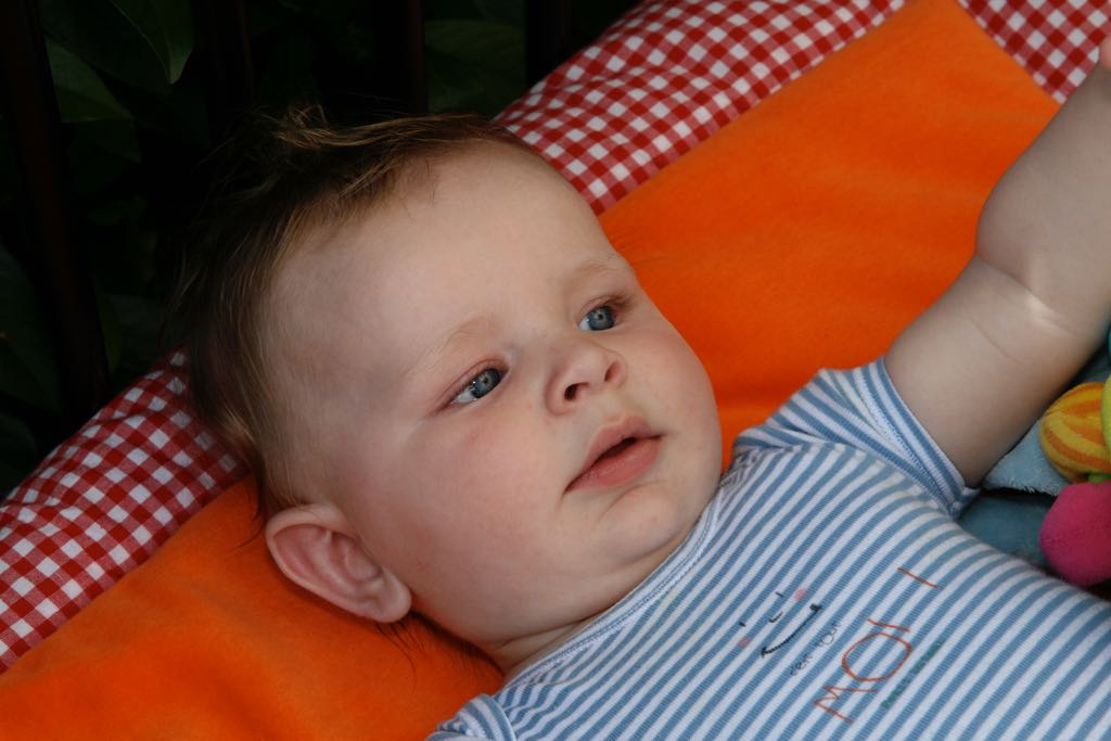 EOS IMG_0877