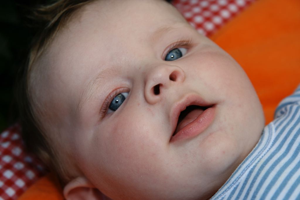EOS IMG_0886
