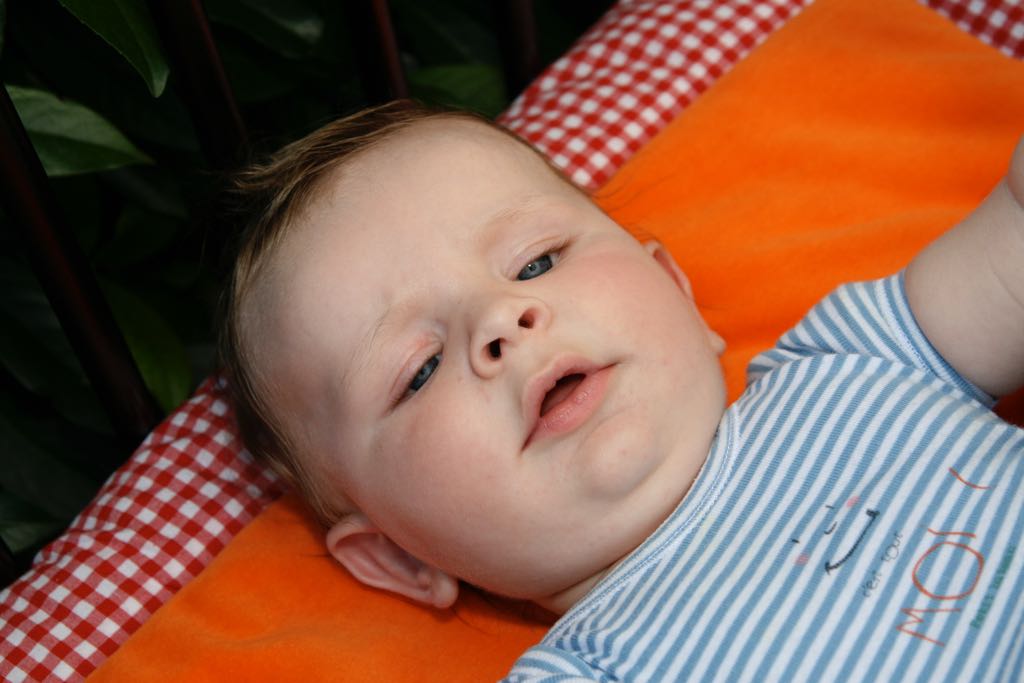 EOS IMG_0888