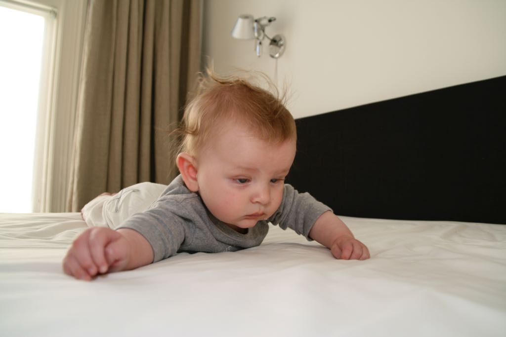 EOS IMG_0939