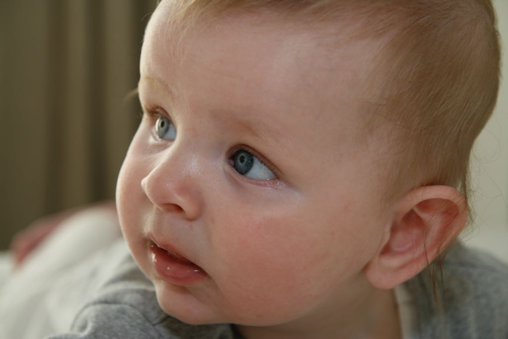 EOS IMG_0949