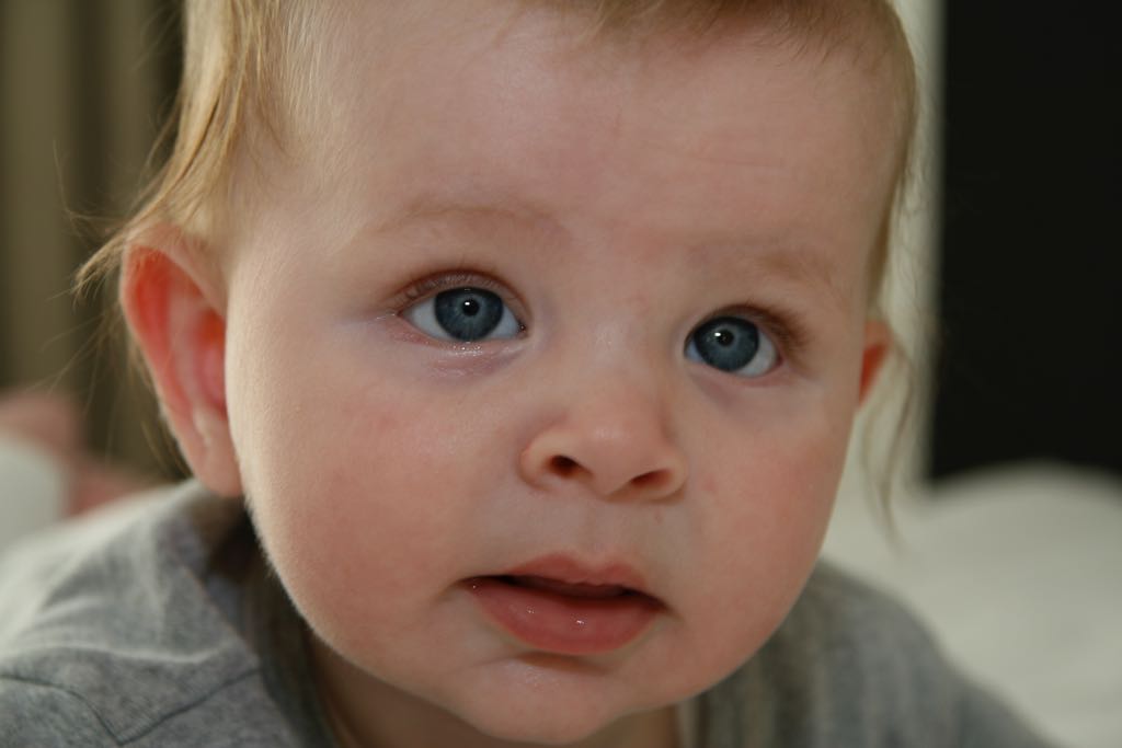 EOS IMG_0950